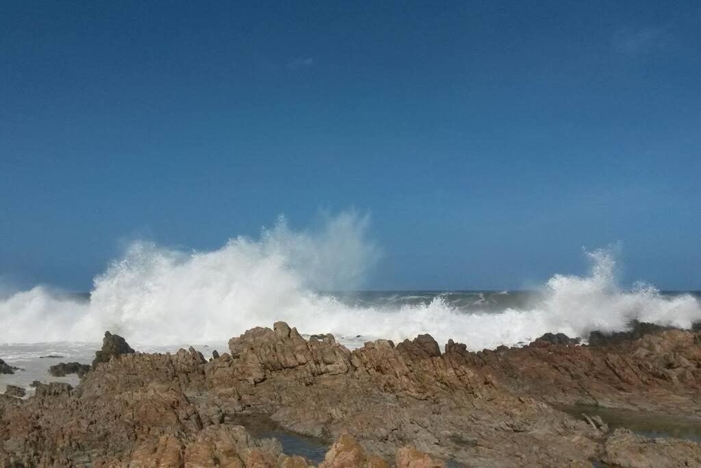 Heaven'S Door Βίλα Bettyʼs Bay Εξωτερικό φωτογραφία